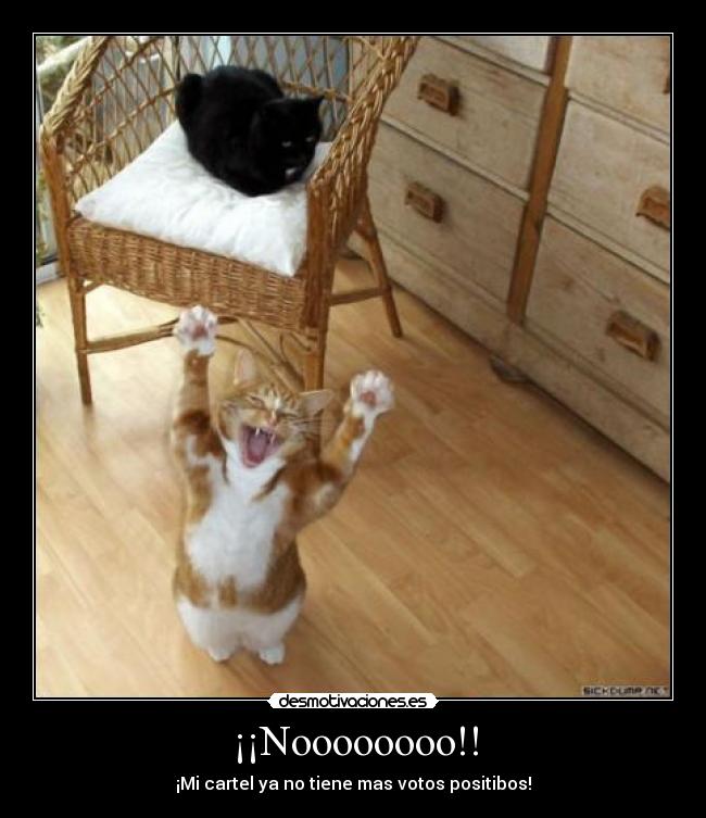 ¡¡Noooooooo!! -