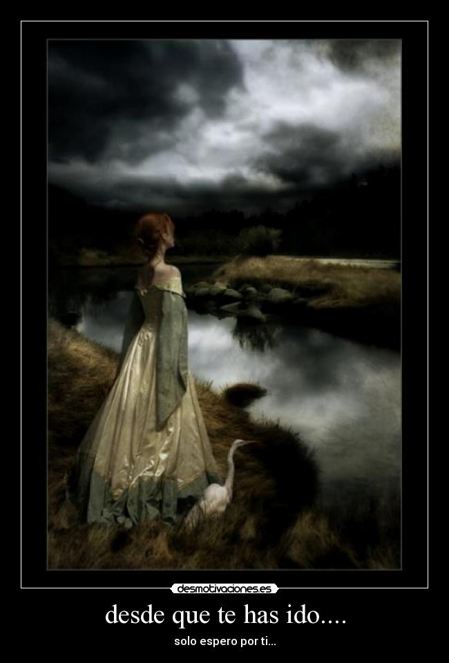 carteles wtf desmotivaciones