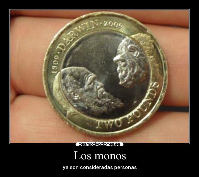 Los monos - 