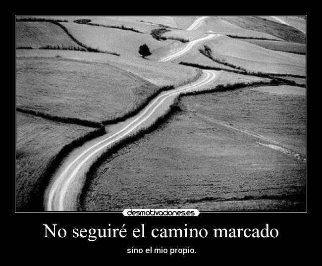 No seguiré el camino marcado -