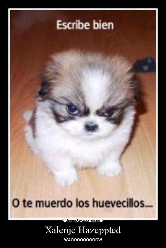 Xalenje Hazeppted - WAOOOOOOOOOW