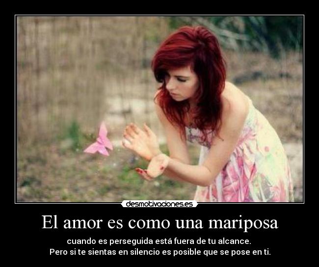 El amor es como una mariposa - cuando es perseguida está fuera de tu alcance. 
Pero si te sientas en silencio es posible que se pose en ti.