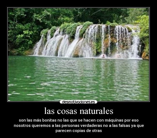 las cosas naturales -