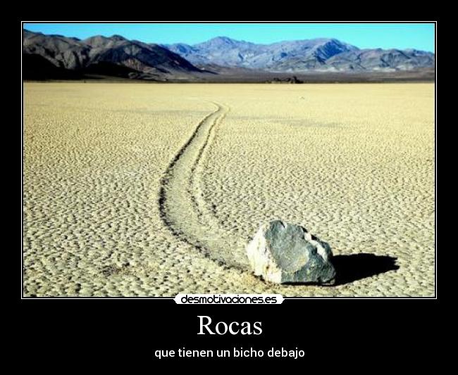 Rocas - que tienen un bicho debajo