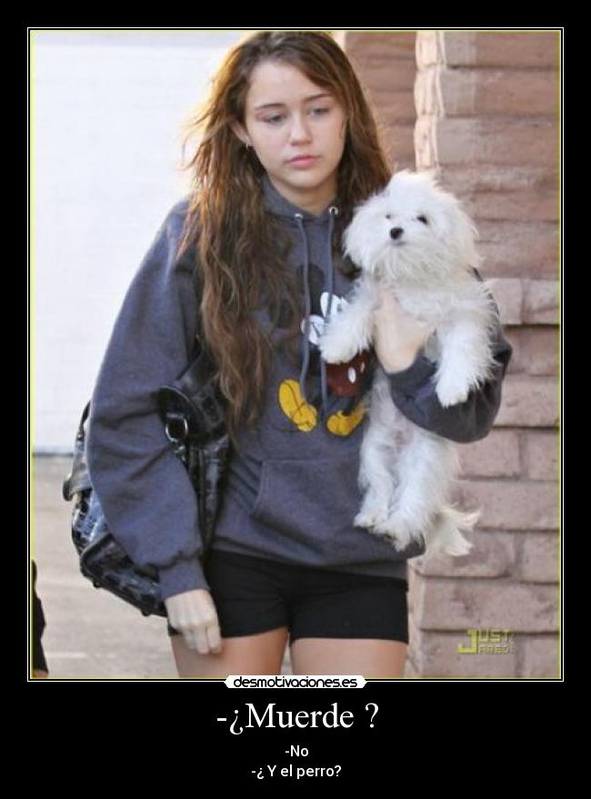 -¿Muerde ? - -No
-¿ Y el perro?