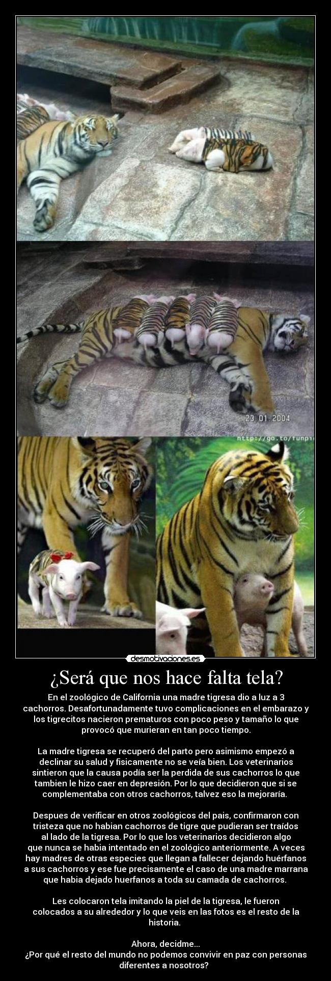 ¿Será que nos hace falta tela? -