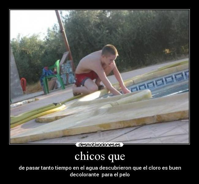 carteles poxe desmotivaciones