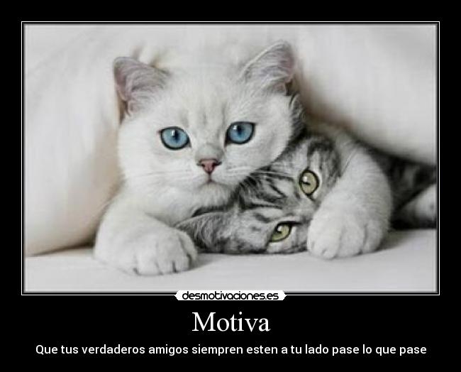 Motiva - Que tus verdaderos amigos siempren esten a tu lado pase lo que pase