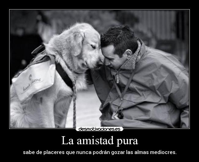 La amistad pura - 