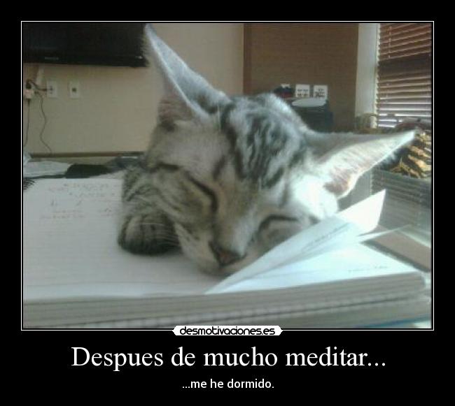 Despues de mucho meditar... - ...me he dormido.