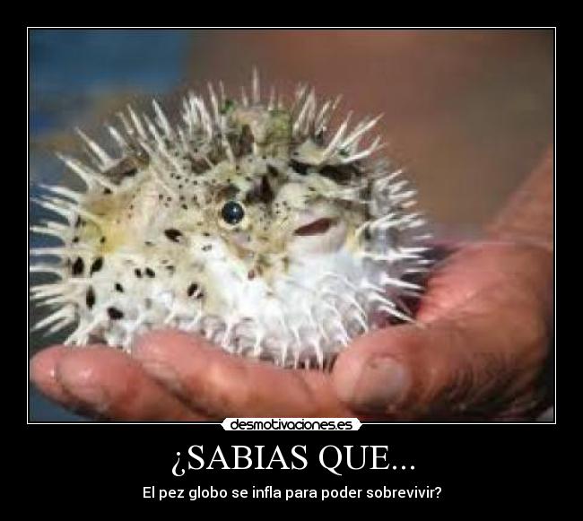 carteles hte desmotivaciones