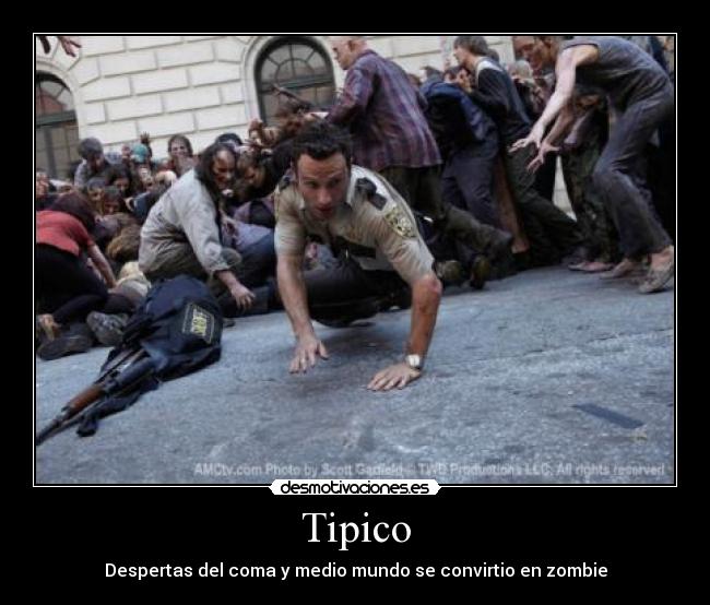 Tipico -