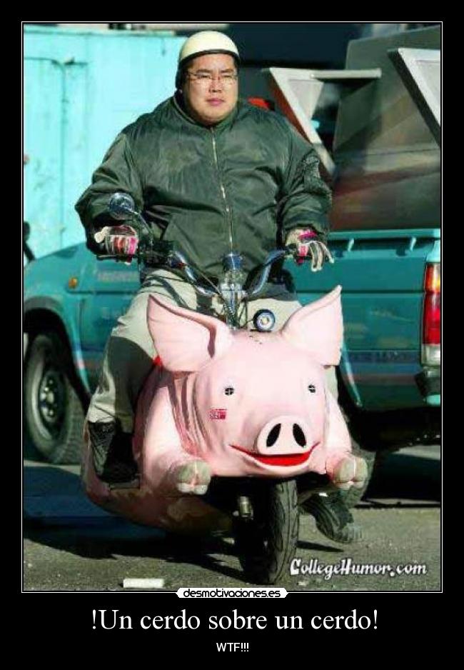 !Un cerdo sobre un cerdo! - WTF!!!