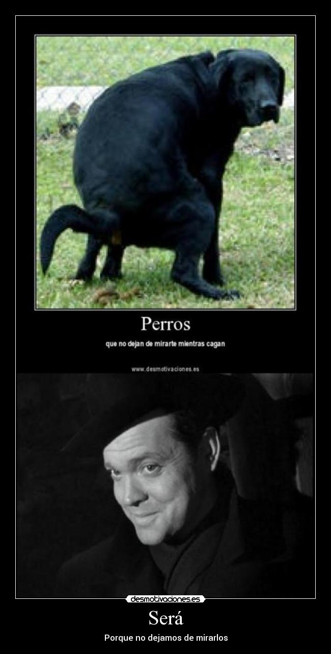 Será - Porque no dejamos de mirarlos