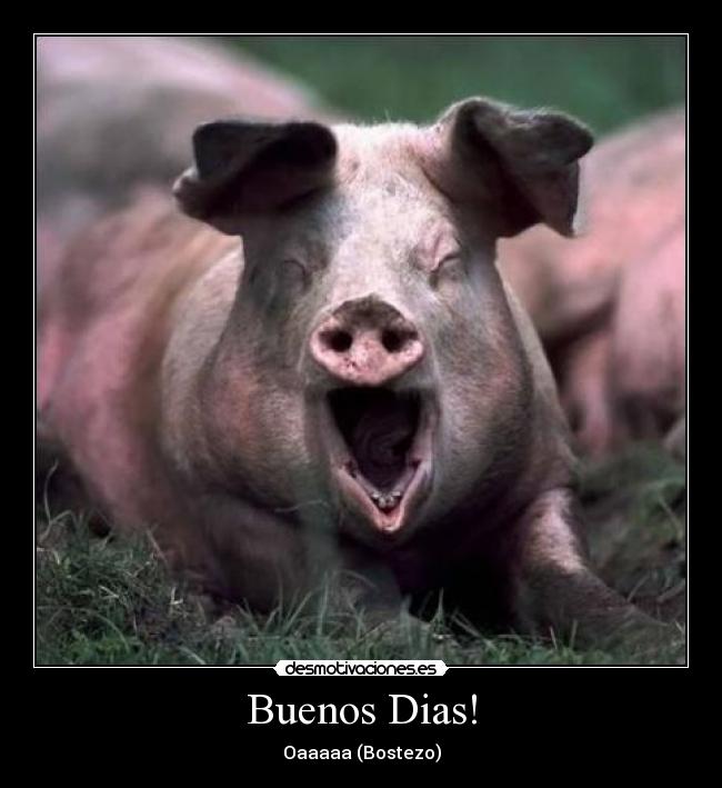 Buenos Dias! - Oaaaaa (Bostezo)
