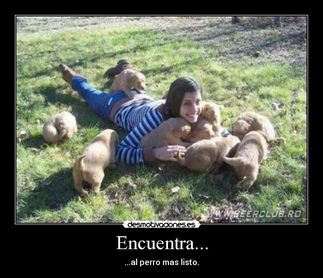 Encuentra... - 