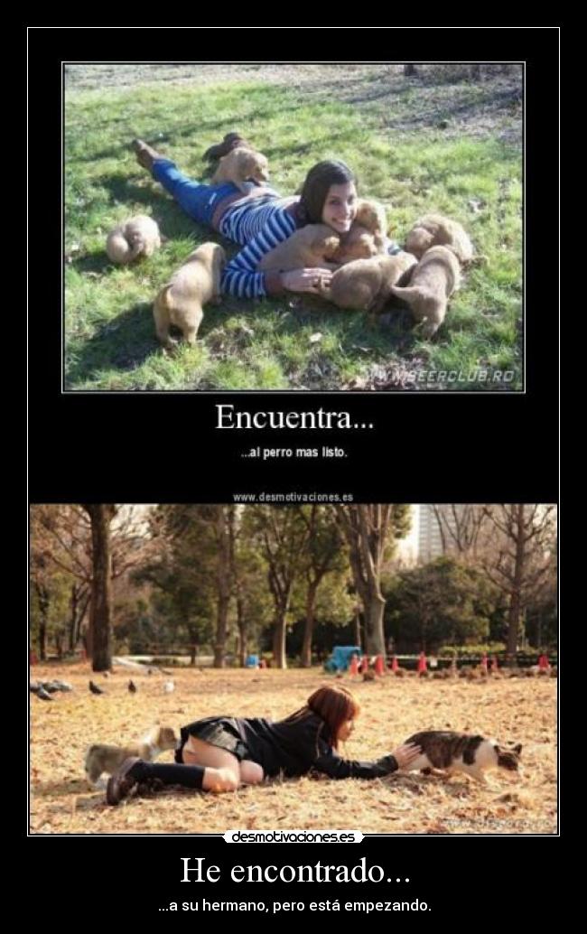 He encontrado... - 