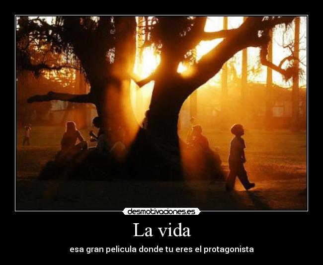 La vida - esa gran pelicula donde tu eres el protagonista