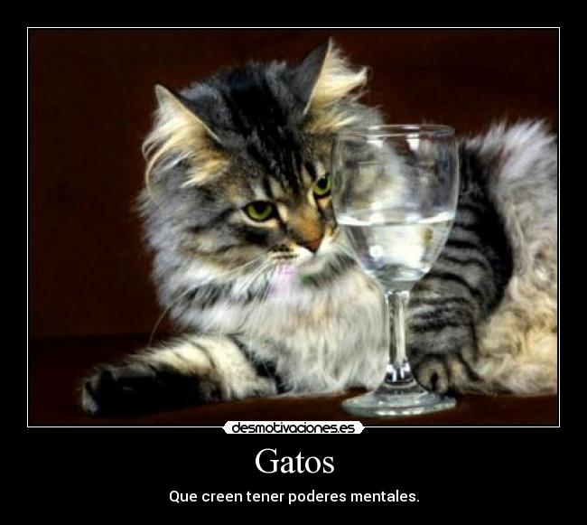 Imágenes y Carteles de ASDFDF Desmotivaciones