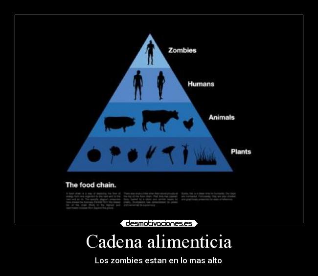 Cadena alimenticia -