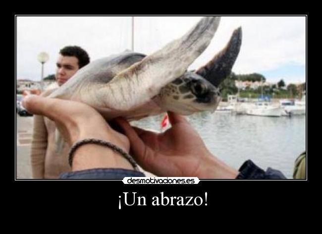 ¡Un abrazo! -