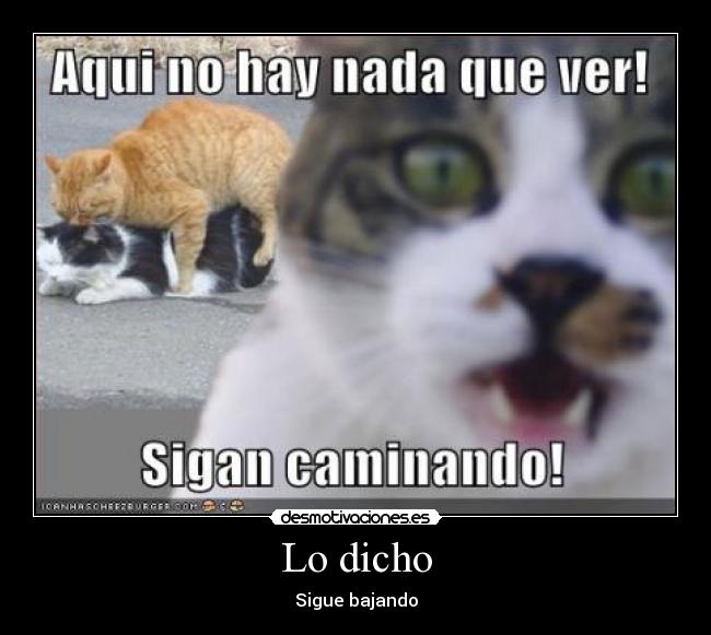 Lo dicho - Sigue bajando