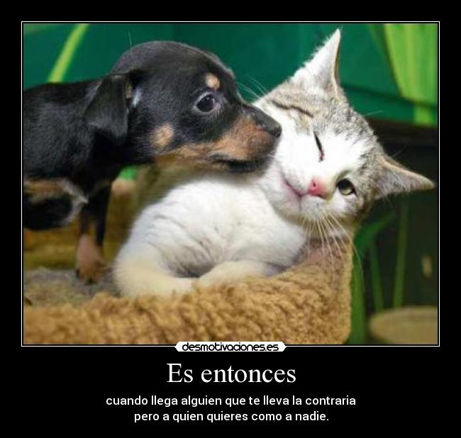 Es entonces - cuando llega alguien que te lleva la contraria
pero a quien quieres como a nadie.