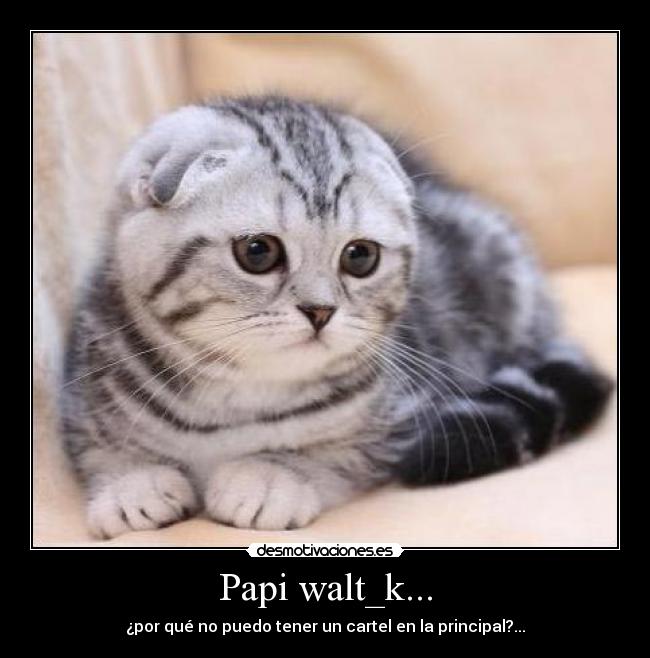 Papi walt_k... - ¿por qué no puedo tener un cartel en la principal?...
