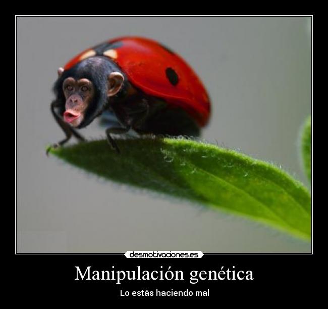Manipulación genética - 