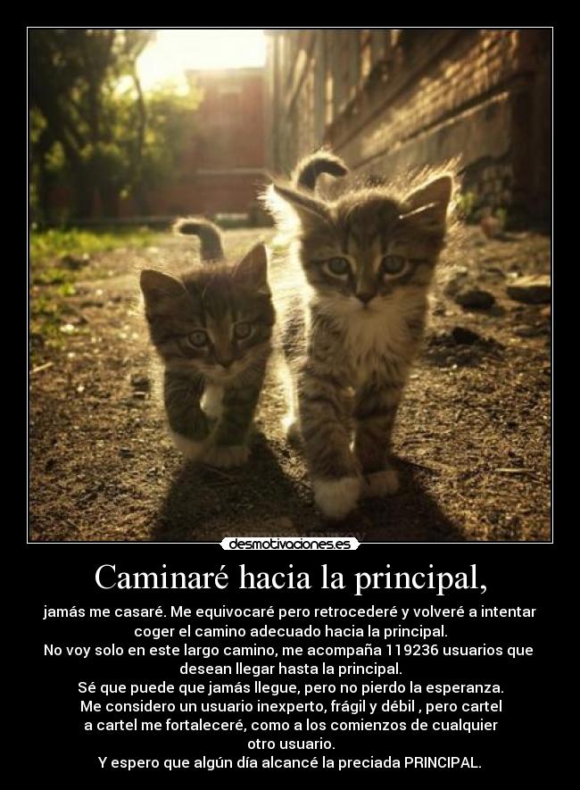 Caminaré hacia la principal, - jamás me casaré. Me equivocaré pero retrocederé y volveré a intentar
coger el camino adecuado hacia la principal.
No voy solo en este largo camino, me acompaña 119236 usuarios que 
desean llegar hasta la principal.
Sé que puede que jamás llegue, pero no pierdo la esperanza.
Me considero un usuario inexperto, frágil y débil , pero cartel
a cartel me fortaleceré, como a los comienzos de cualquier
otro usuario.
Y espero que algún día alcancé la preciada PRINCIPAL.