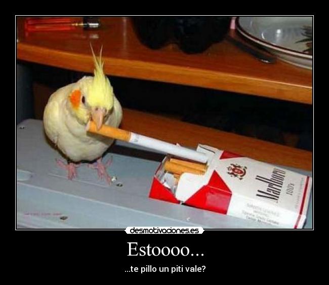 Estoooo... - ...te pillo un piti vale?