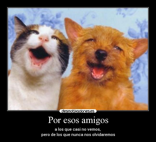 Por esos amigos - a los que casi no vemos,
pero de los que nunca nos olvidaremos