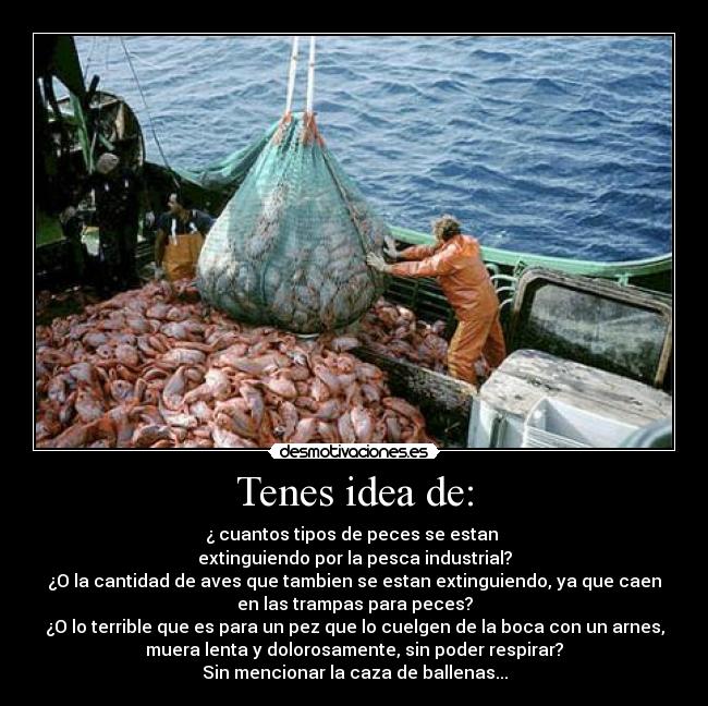 carteles peces pesca industrial terrible desmotivaciones