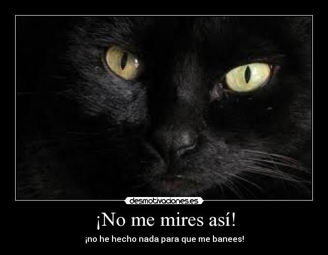 ¡No me mires así! -