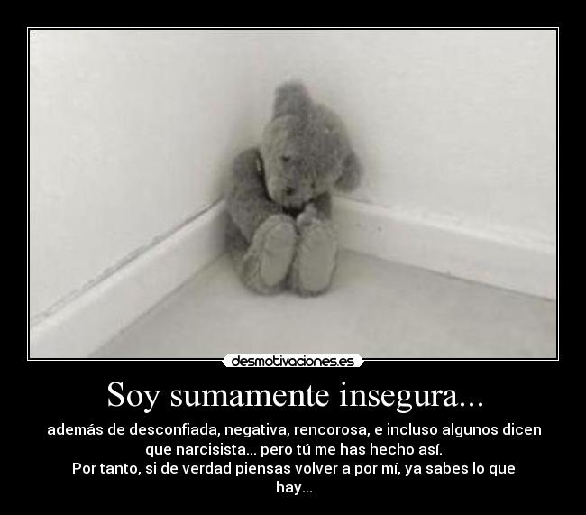 carteles insegura desmotivaciones