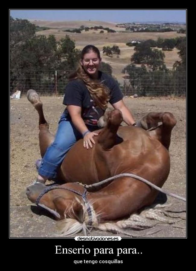 carteles sin comentarios desmotivaciones