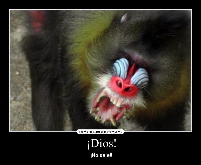 ¡Dios! - ¡¡No sale!!