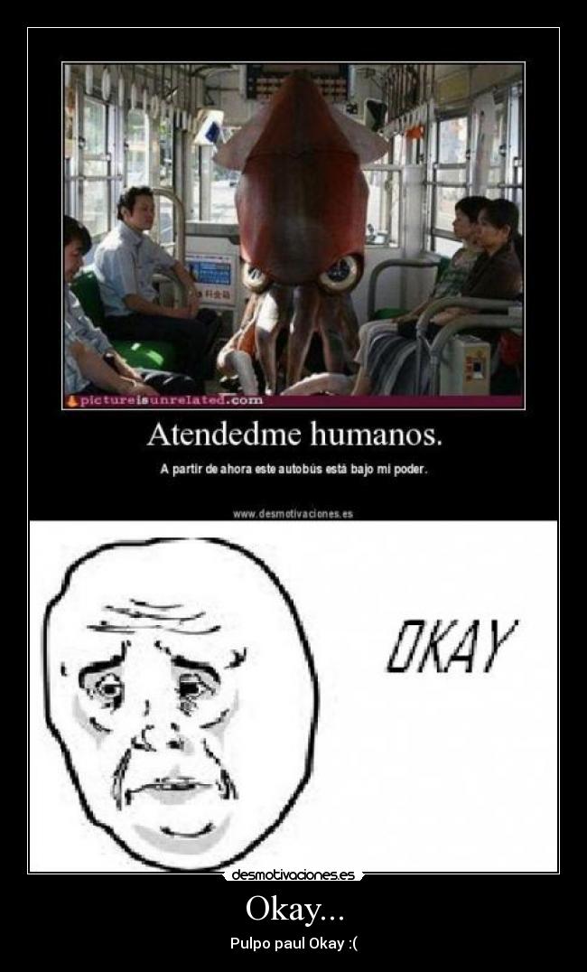 Okay... - Pulpo paul Okay :(