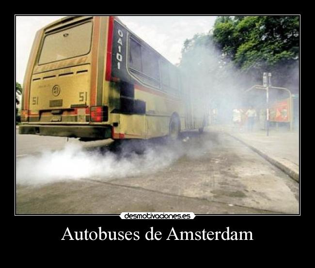 Autobuses de Amsterdam -