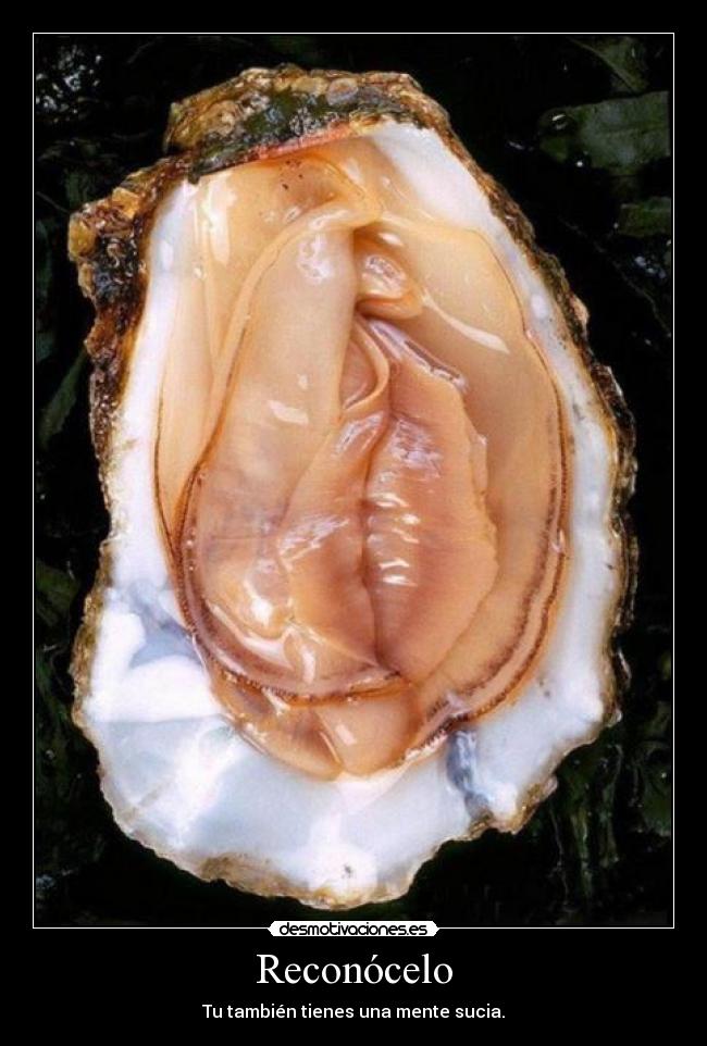 Reconócelo - Tu también tienes una mente sucia.