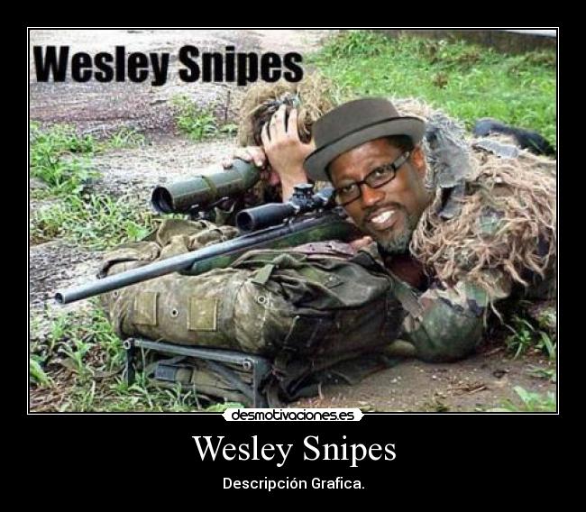 Wesley Snipes - Descripción Grafica.