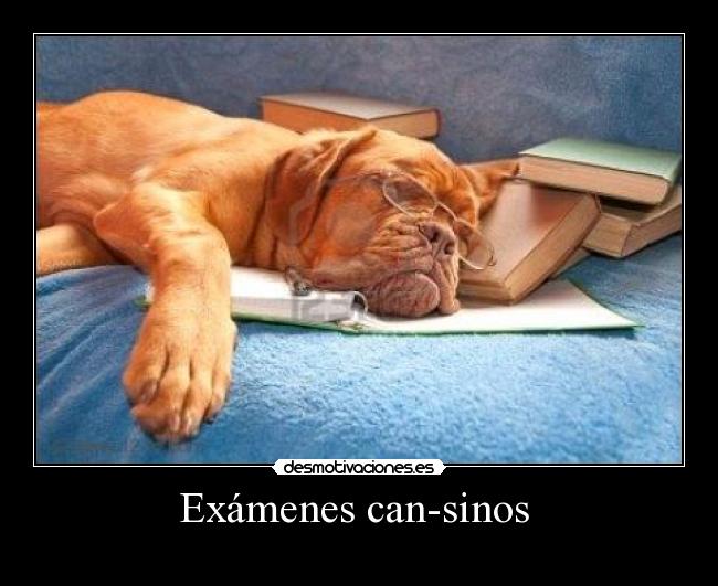 carteles examenes examenes can-sinos desmotivaciones