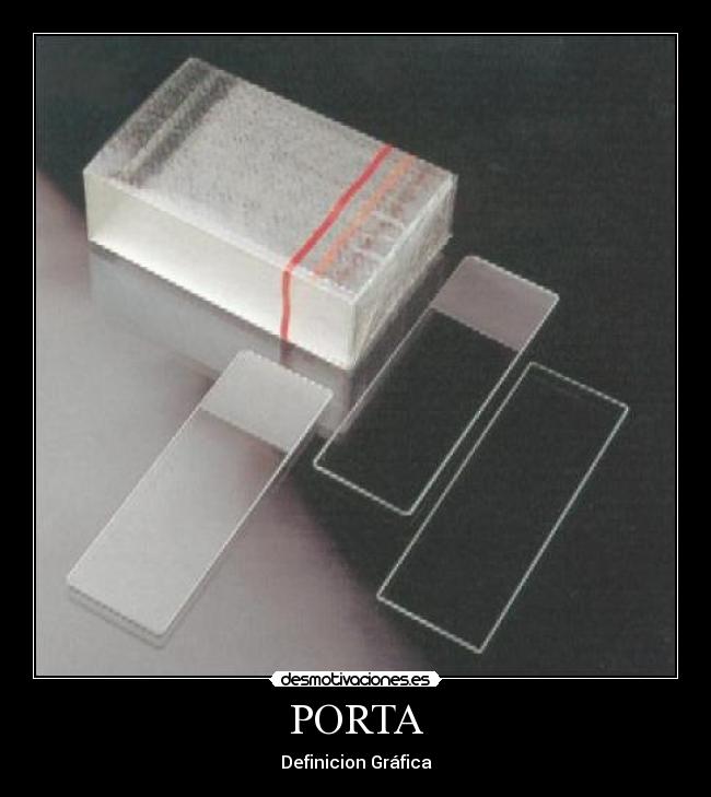 PORTA - Definicion Gráfica