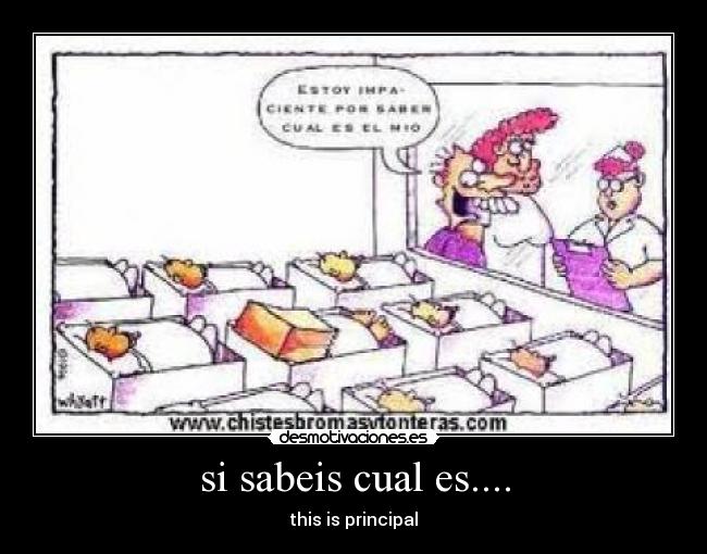 si sabeis cual es.... -