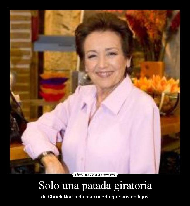 Solo una patada giratoria -