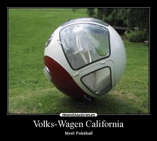 Volks-Wagen California - 