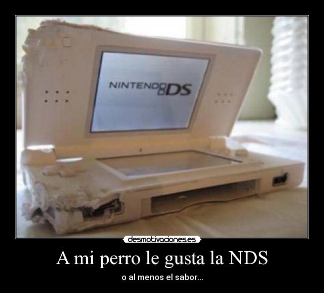 carteles perro desmotivaciones