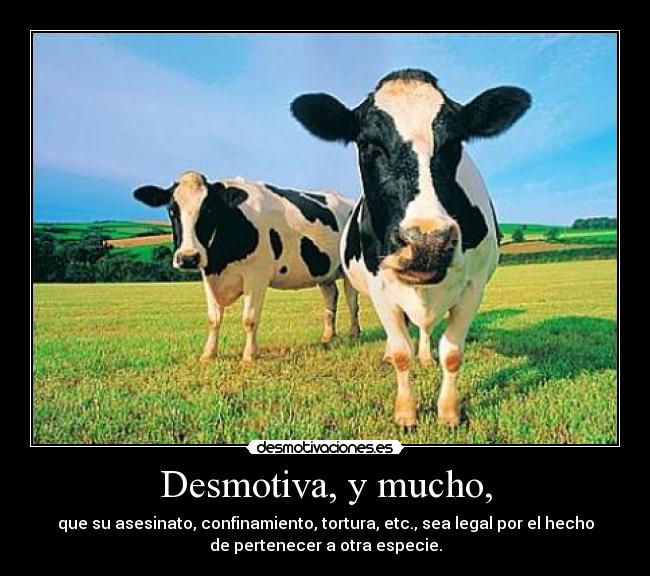 Desmotiva, y mucho, - 