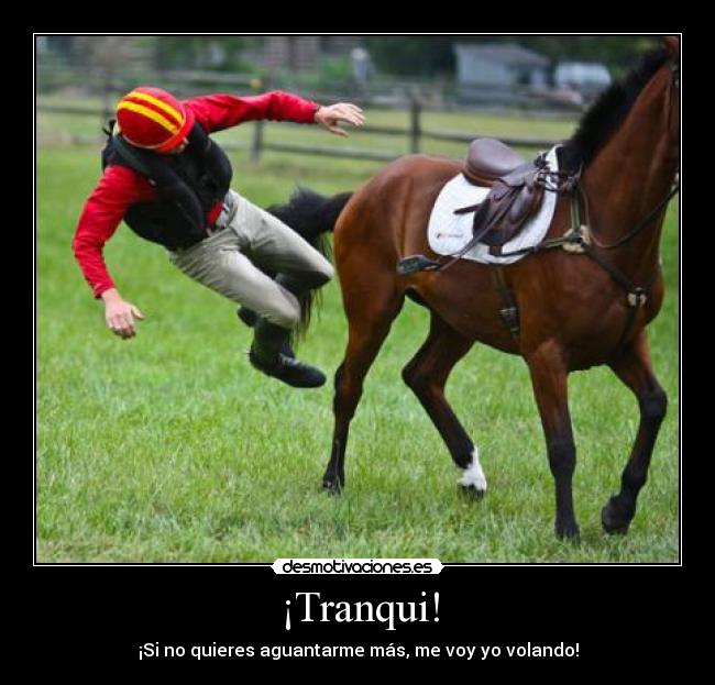 ¡Tranqui! - ¡Si no quieres aguantarme más, me voy yo volando!