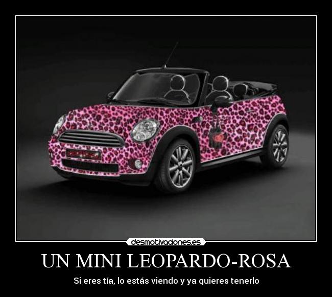 UN MINI LEOPARDO-ROSA -